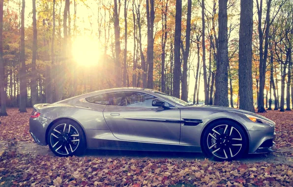Picture forest, the sun, Aston, martin