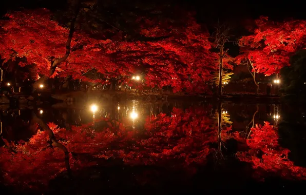 Autumn, light, trees, night, lights, pond, Park, reflection