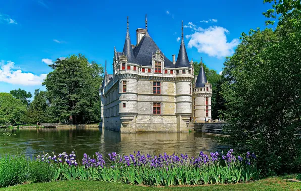 Picture flowers, river, castle, France