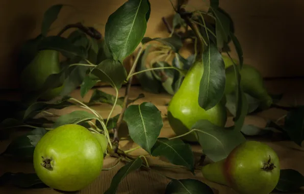 Leaves, green, still life, pear, a lot, bokeh