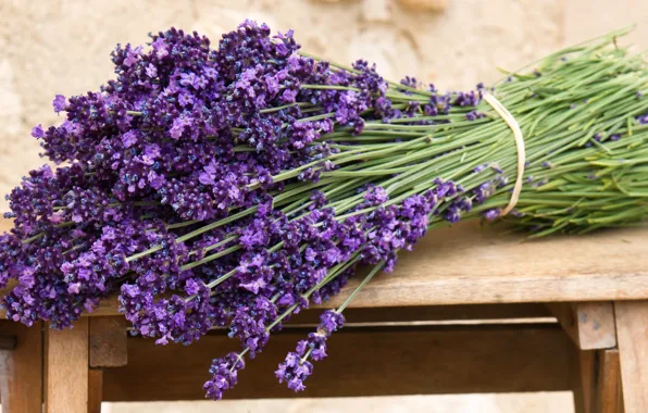 Picture flowers, bench, bouquet, lavender