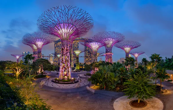 Trees, night, design, lights, Park, palm trees, garden, Singapore
