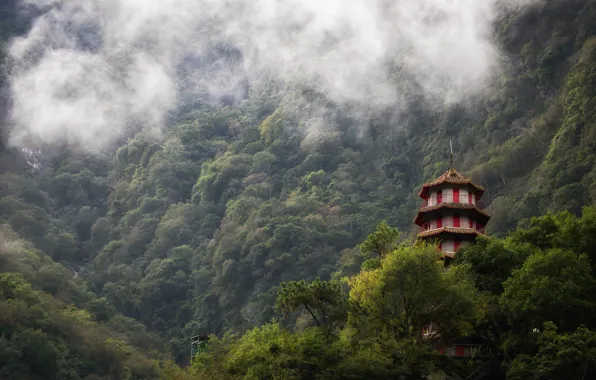 Mountains, fog, forest, Taiwan, Taroko Gorge, Selet
