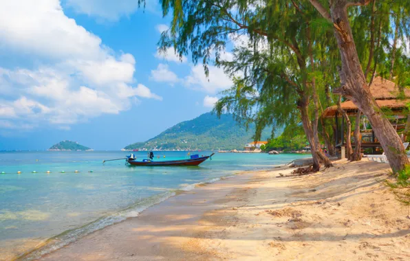 Picture sand, sea, the sky, clouds, trees, landscape, nature, boats