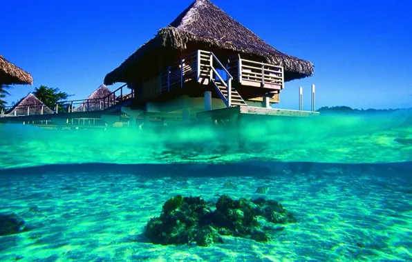 The ocean, Bungalow, Bora, blue lagoon, french polynesia, bora-bora