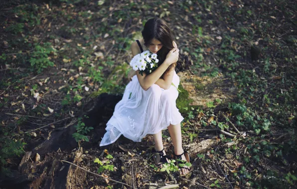 Picture forest, girl, flowers