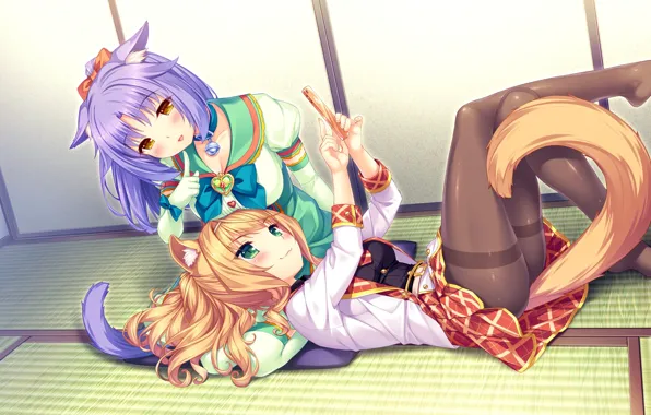 Girls, Room, Neko, Nekopara