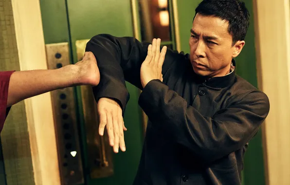 Donnie Yen, Donnie Yen, Ip Man 3, Wing Chun