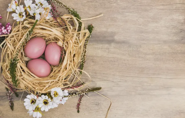 Flowers, Spring, Easter, Eggs, Socket