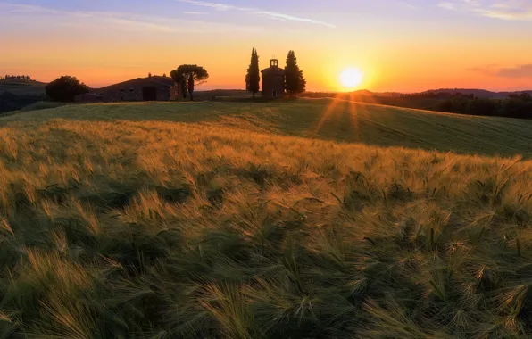 Field, the sun, light, sunset, rye, tower, slope, hill