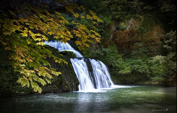Autumn, leaves, trees, branches, waterfall