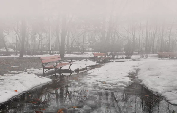 Picture winter, fog, Park, benches