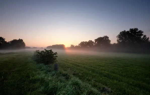 Wallpaper field, summer, fog for mobile and desktop, section природа ...