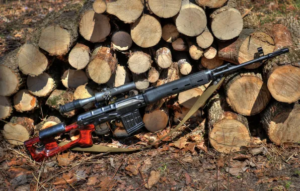 Picture SVD, self-loading, Dragunov sniper rifle