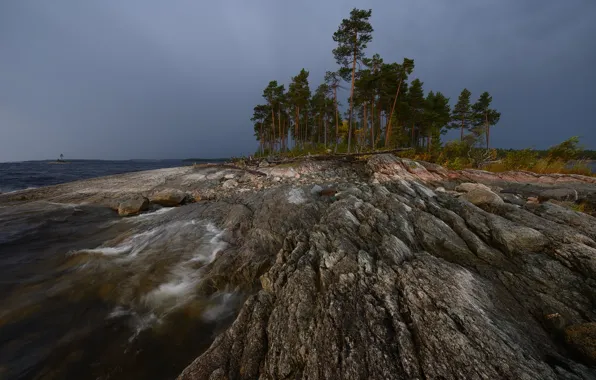 Picture overcast, pond, pine, rocky shore