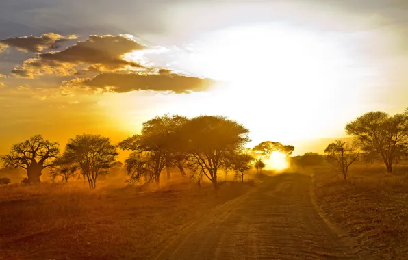 Road, landscape, morning, Africa