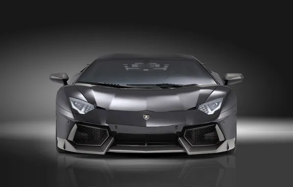 Picture black, Lamborghini, car, Novitec, Torado