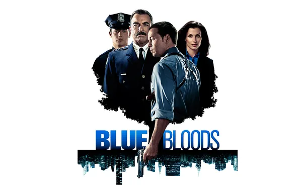 Picture the series, Will Estes, Donnie Wahlberg, Bridget Moynahan, Blue Bloods, Blue blood