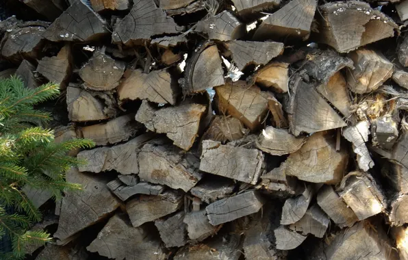 Widescreen, Wallpaper, wood, wallpaper, widescreen, background, the Wallpapers, full screen