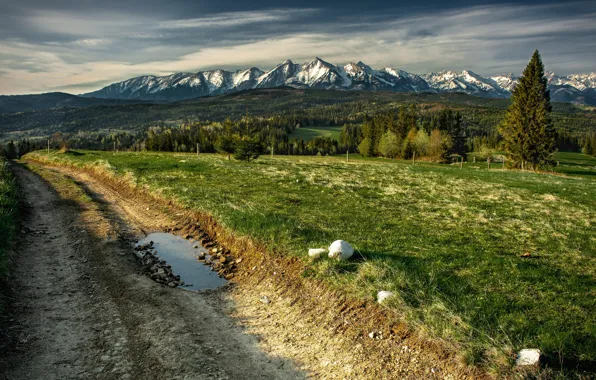 Road, field, mountains, stones, puddle