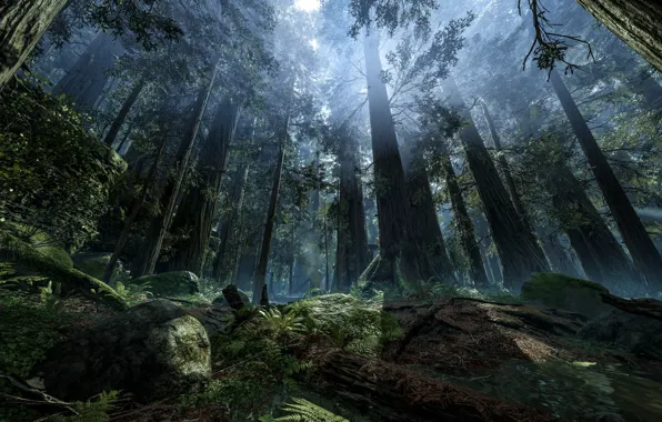 Star Wars, game, Electronic Arts, Battlefront, Star Wars: Battlefront