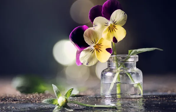 Picture flowers, background, Bank