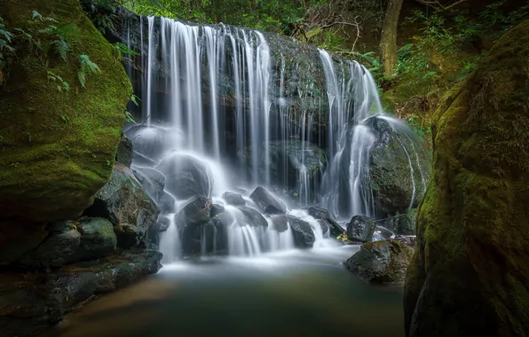 Picture forest, nature, stones, waterfall, moss, stream