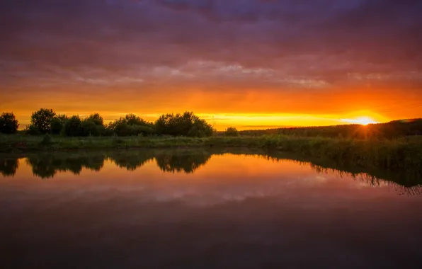 Summer, sunset, nature, lake, pond
