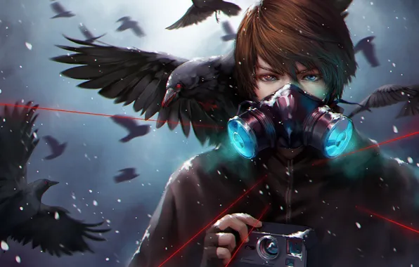 Picture snow, birds, mask, art, the camera, laser, crows, guy