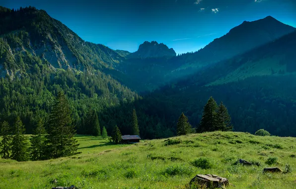 Greens, forest, the sky, grass, trees, mountains, nature, house