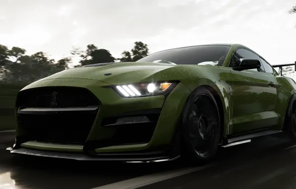 Forza Horizon, vehicle, video games, Forza Horizon 5