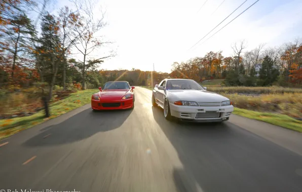 Road, autumn, forest, nissan, turbo, red, white, honda
