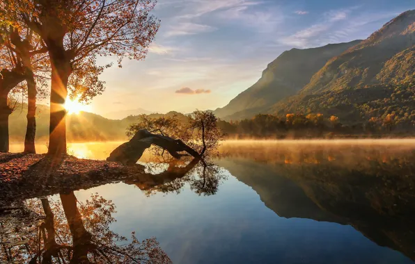 Picture landscape, nature, river, tree, dawn, beauty, morning, couples