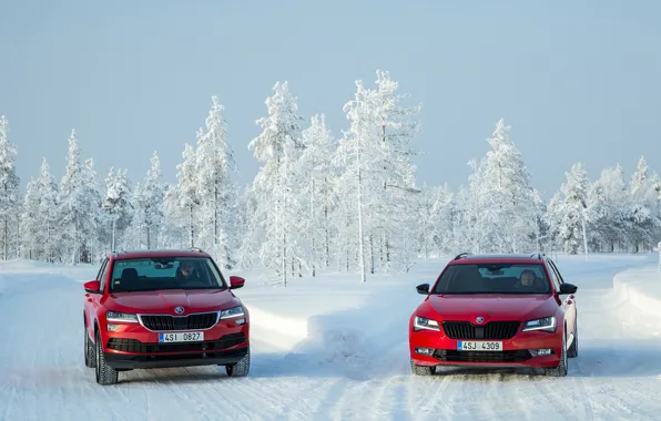 Winter, two, red, Skoda, Superb, Karoq