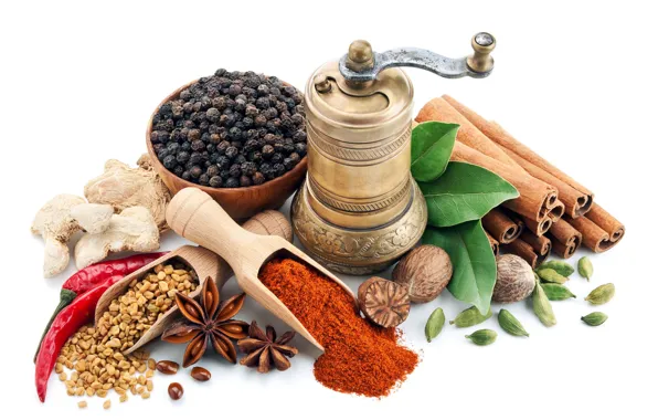 Picture white background, grain, spices