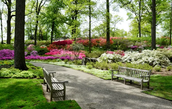 Road, bench, Park, New York, garden, USA, alley, alley