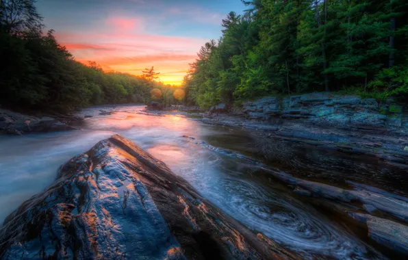 Picture forest, the sky, clouds, sunset, river, stones, rocks, shore
