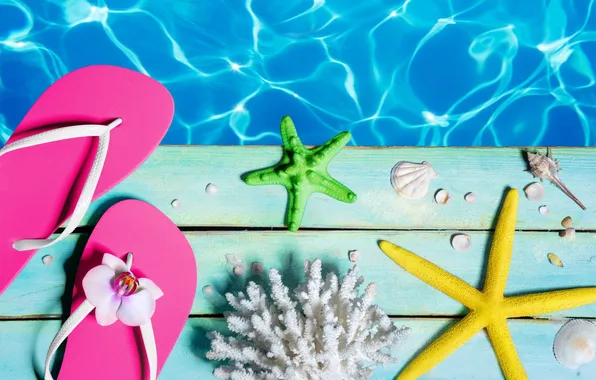 Beach, summer, stars, stay, shell, summer, beach, vacation