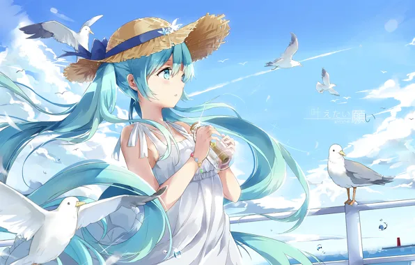 Picture the sky, girl, clouds, seagulls, hat, anime, art, vocaloid