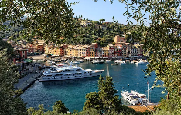 Picture sea, landscape, home, Bay, yachts, Italy, harbour, Portofino