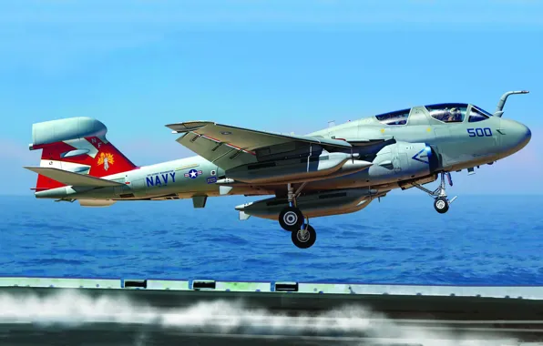 Grumman, Prowler, US NAVY, carrier-based electronic warfare aircraft, EA-6B