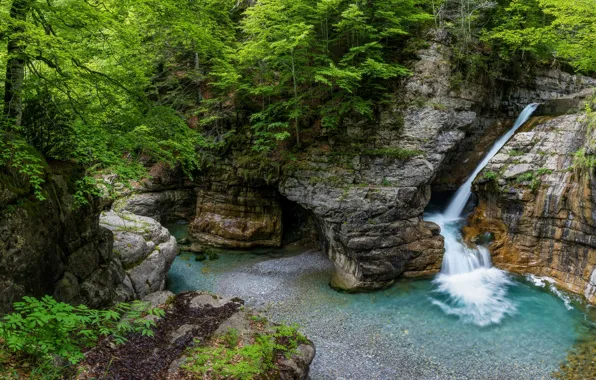 Forest, mountains, stones, rocks, shore, vegetation, waterfall