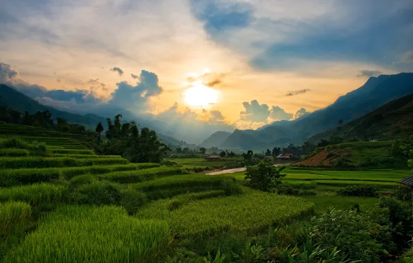 Picture sunset, mountains, the slopes, the evening, Vietnam, Sapa, rice