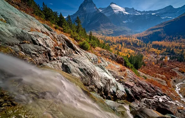 Autumn, forest, the sun, trees, mountains, stream, stones, rocks