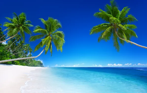 Sand, sea, beach, the sun, tropics, the ocean, shore, island