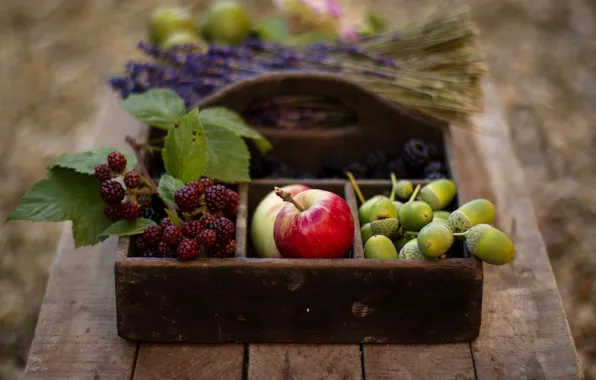 Autumn, berries, table, basket, apples, fruit, acorns, BlackBerry