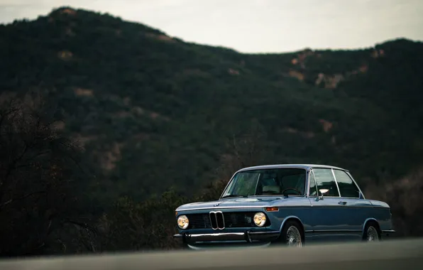 Auto, Retro, BMW, Machine, Classic, Car, 1966, Larry Chen