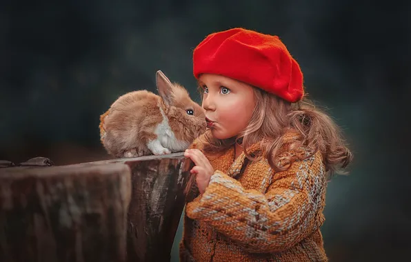 Autumn, look, stump, portrait, kiss, rabbit, girl, Bunny