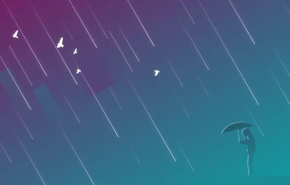 Picture purple, birds, rain, people, umbrella, rain, umbrella, man