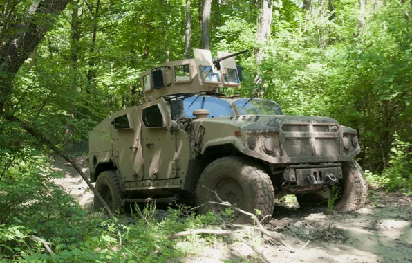 Forest, Prototype, SUV, General, BRV-O